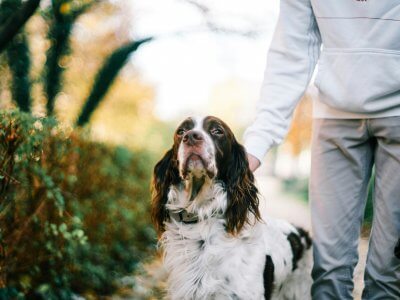 Mann mit seinem Hund