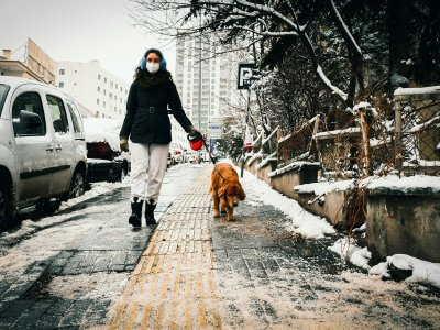 spaziergang mit hund