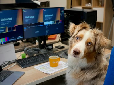 Hund im Büro