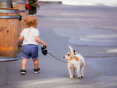Haustiere und Kinder